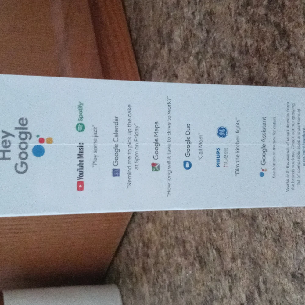 Nest mini